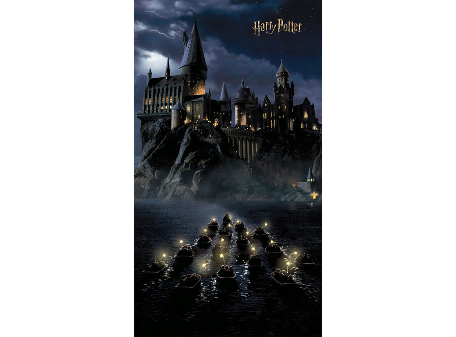 Dětská fototapeta - HARRY POTTER Bradavice - 150x270 cm