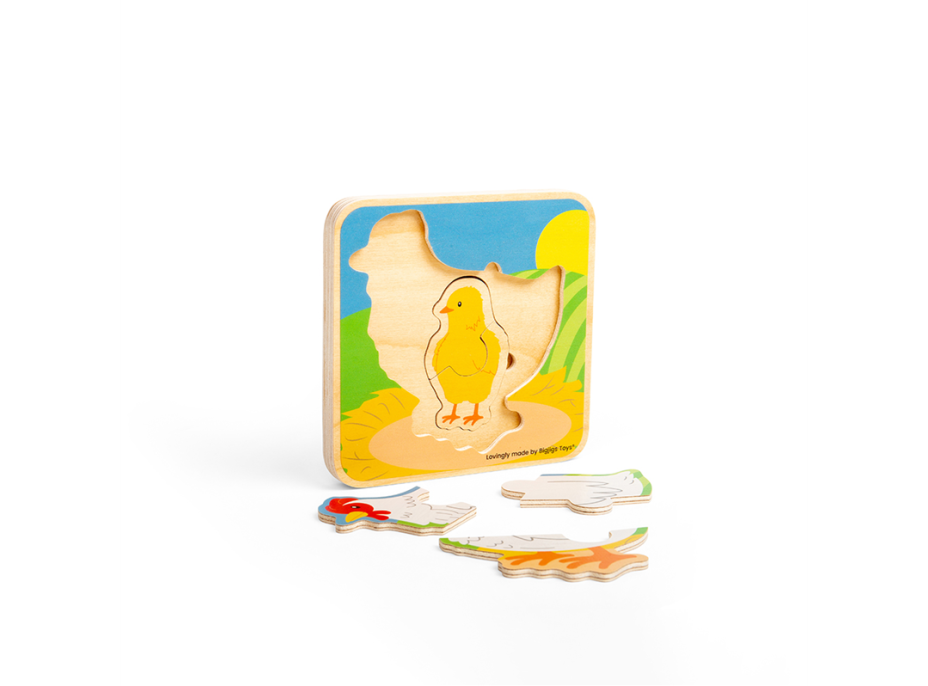 Bigjigs Toys Puzzle Životní cyklus slepice