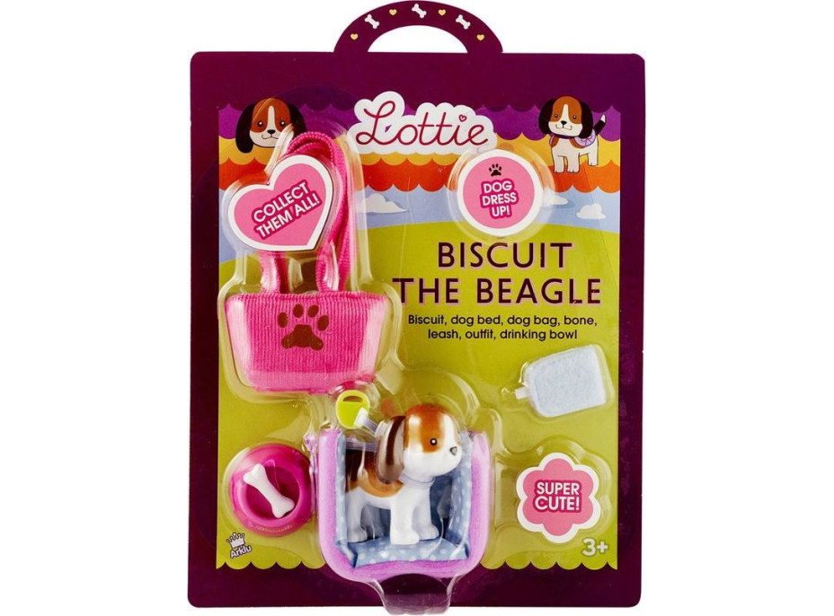 Lottie Beagle s doplňky