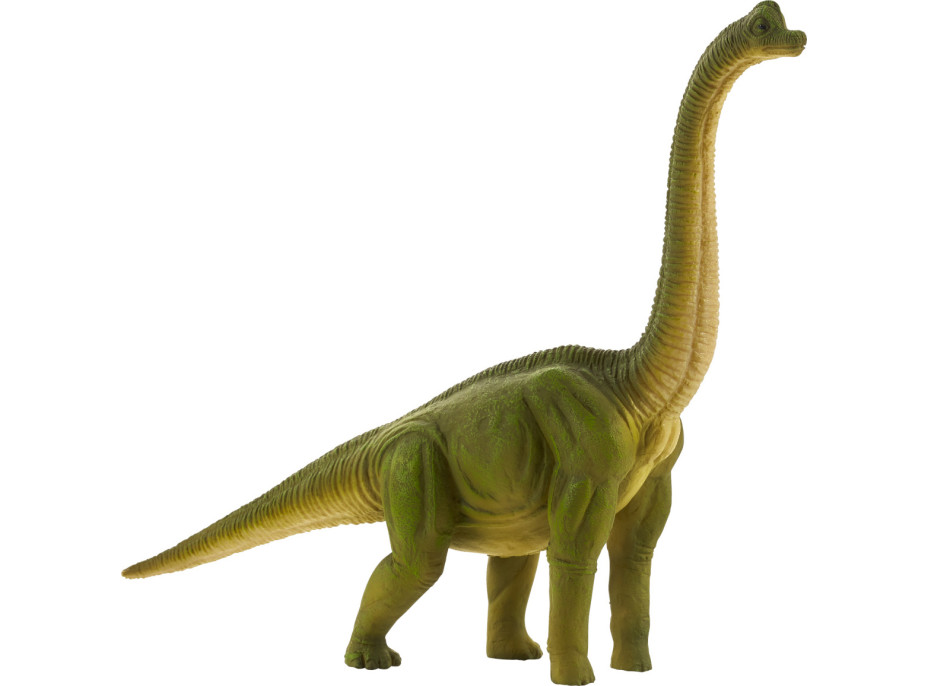 Mojo Brachiosaurus velký