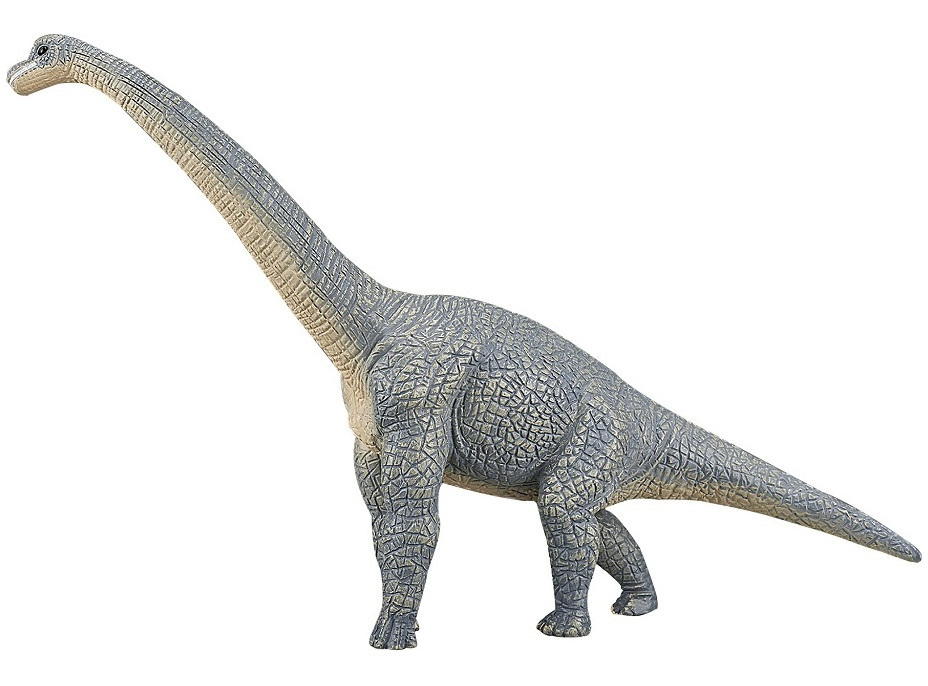 Mojo Brachiosaurus