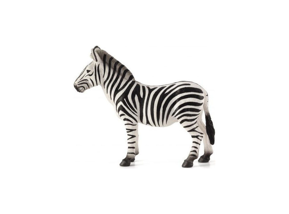 Mojo Zebra