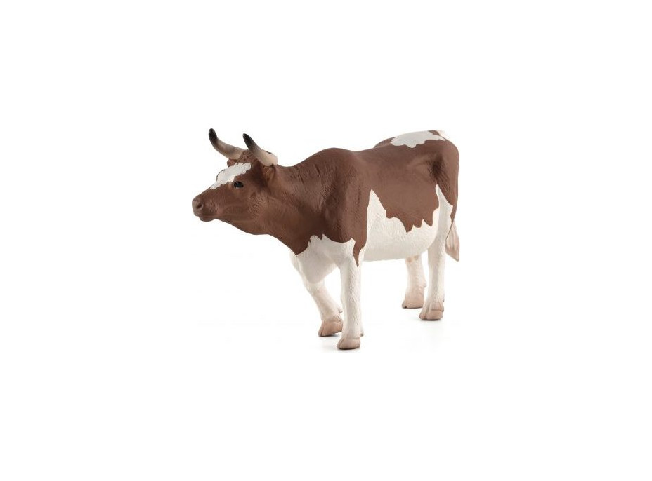 Mojo Simmental skot