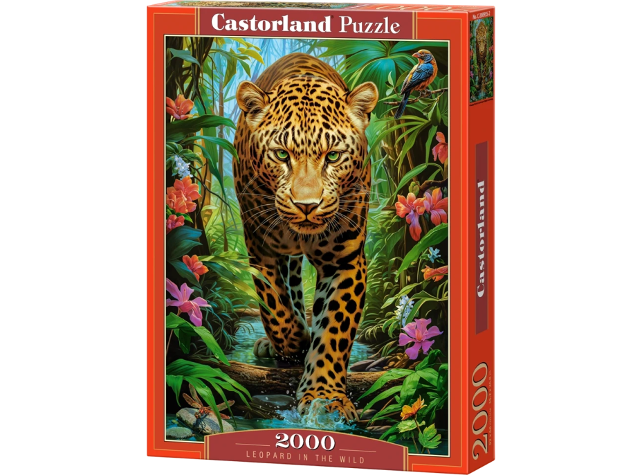 CASTORLAND Puzzle Leopard v divočině 2000 dílků