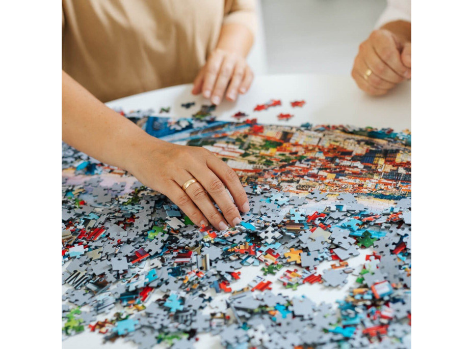 TREFL Puzzle Plavba po řece 1000 dílků