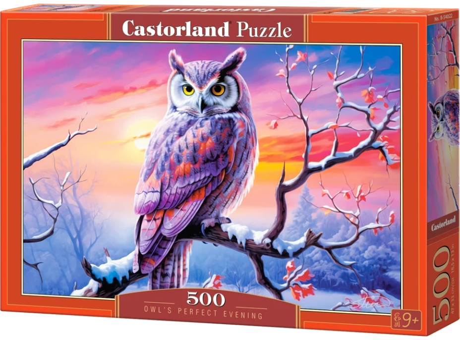 CASTORLAND Puzzle Dokonalý večer se sovou 500 dílků