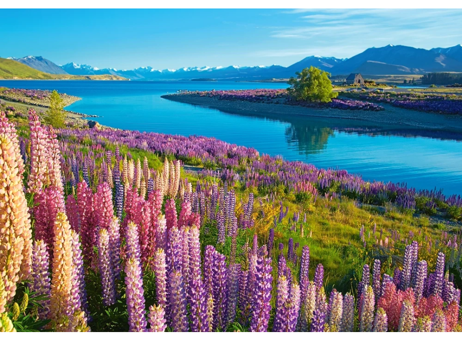 CASTORLAND Puzzle Jezero Tekapo, Nový Zéland 500 dílků