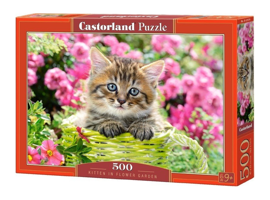 CASTORLAND Puzzle Kotě v květinové zahradě 500 dílků