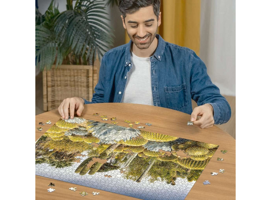 RAVENSBURGER Puzzle Kouzelné zahrady: Zahrada Huntington, USA 1000 dílků