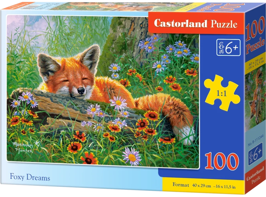 CASTORLAND Puzzle Liščí snění 100 dílků