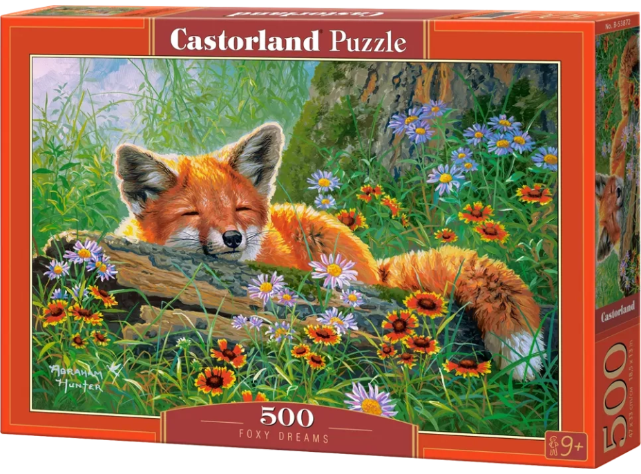 CASTORLAND Puzzle Liščí snění 500 dílků