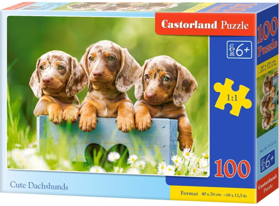 CASTORLAND Puzzle Roztomilí jezevčíci 100 dílků