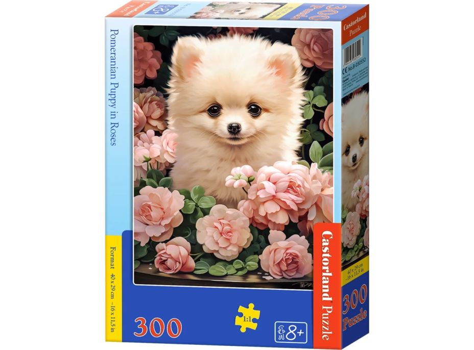 CASTORLAND Puzzle Štěně Pomeraniana v růžích 300 dílků