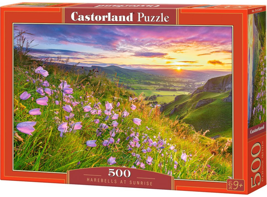 CASTORLAND Puzzle Zvonky při východu slunce 500 dílků