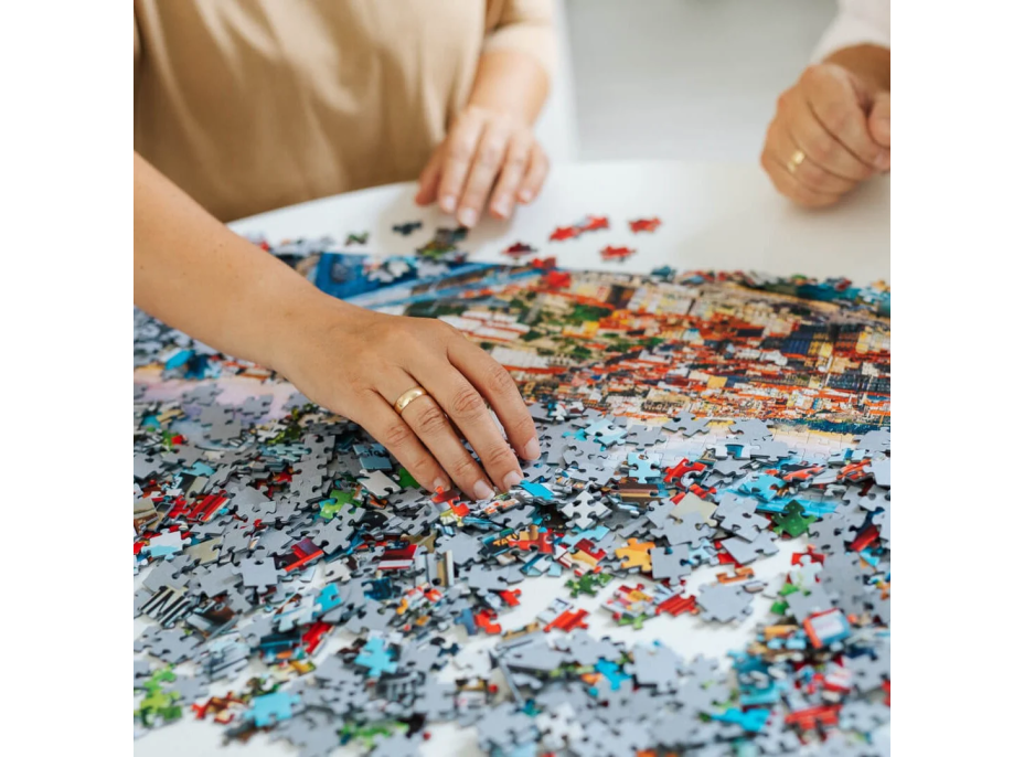 TREFL Puzzle Premium Plus Photo Odyssey: Alpské město ve Švýcarsku 1000 dílků