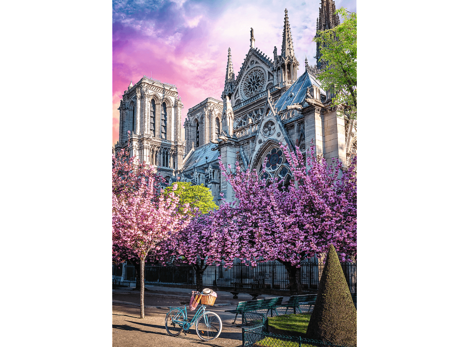 TREFL Puzzle Premium Plus Photo Odyssey: Katedrála Notre-Dame v Paříži 1000 dílků