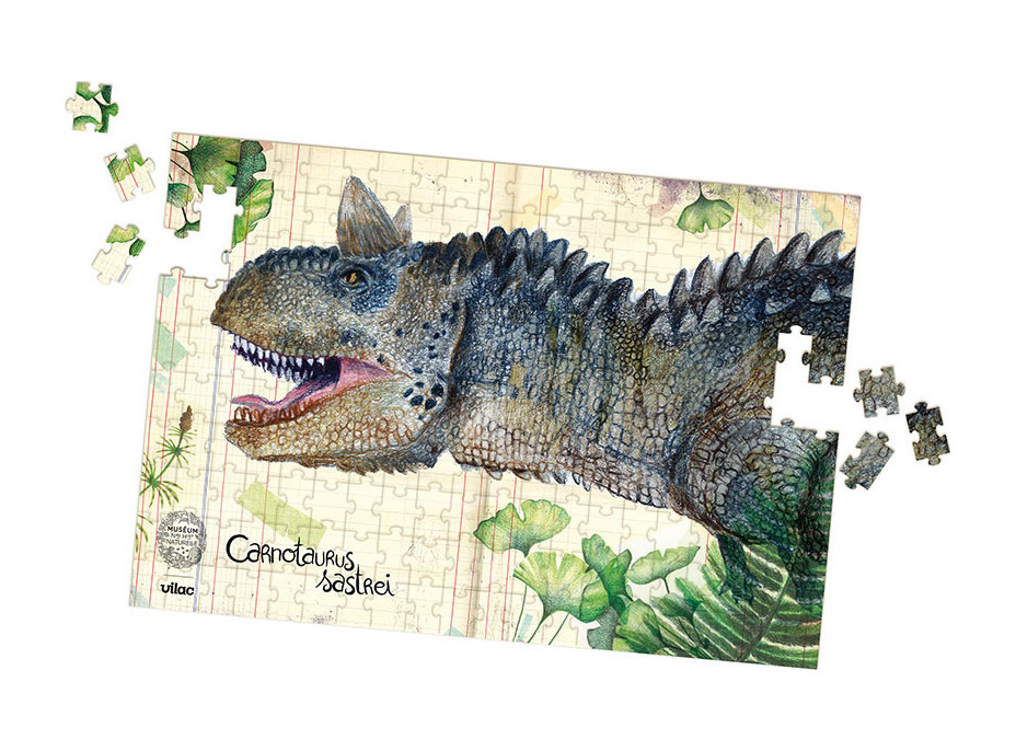 Vilac Sada 3 puzzle dinosaurů