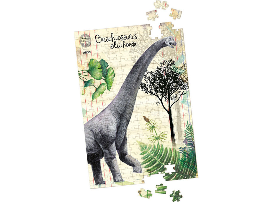 Vilac Sada 3 puzzle dinosaurů