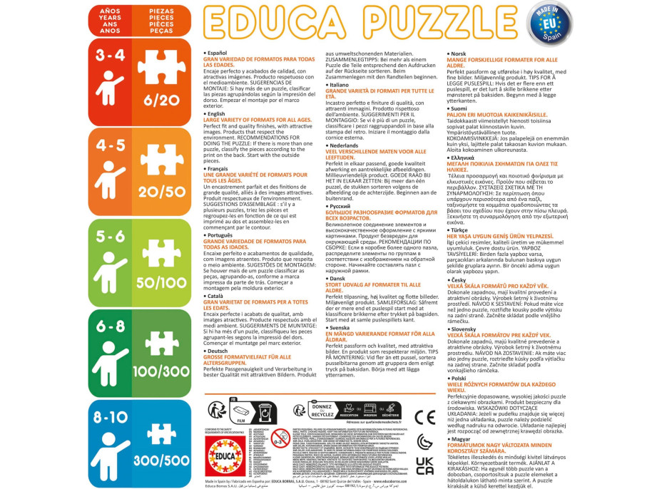 EDUCA Puzzle Outside,Inside Dům 2x100 dílků