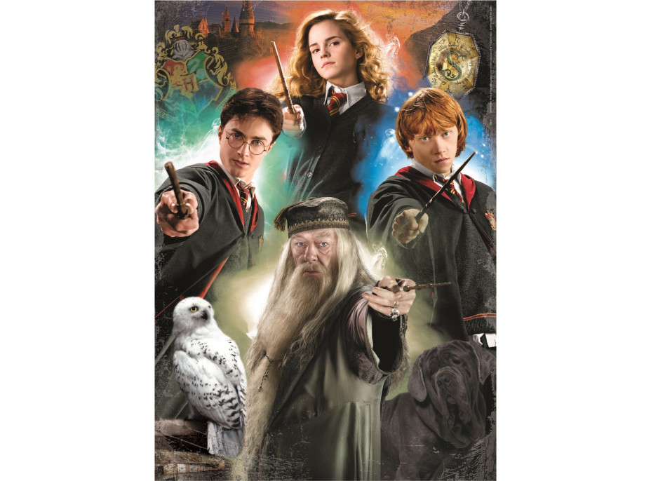 EDUCA Puzzle Harry Potter 500 dílků