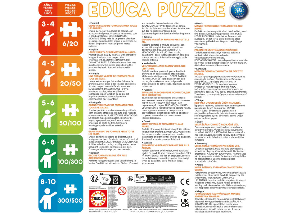 EDUCA Poster puzzle Stitch 250 dílků