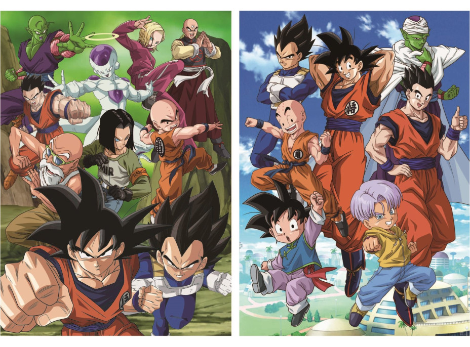 EDUCA Puzzle Dragon Ball 2x500 dílků