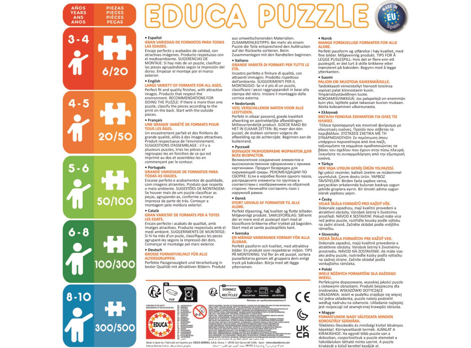 EDUCA Puzzle Kouzelná Beruška a Černý kocour 2x48 dílků