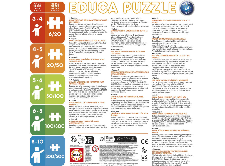 EDUCA Puzzle Kouzelná Beruška a Černý kocour 2x100 dílků