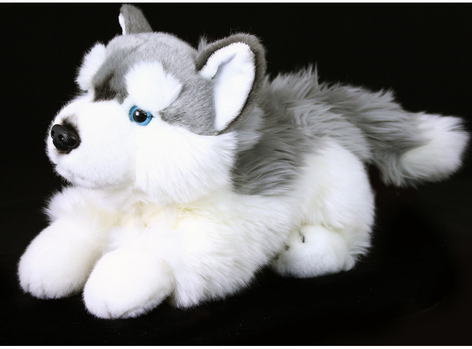 Rappa Plyšový pes husky ležící 30 cm