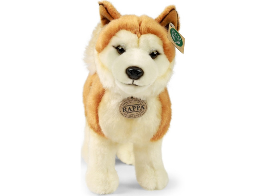 Rappa Plyšový pes akita inu 30 cm ECO-FRIENDLY