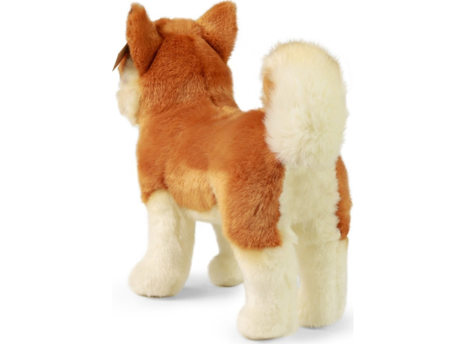 Rappa Plyšový pes akita inu 30 cm ECO-FRIENDLY