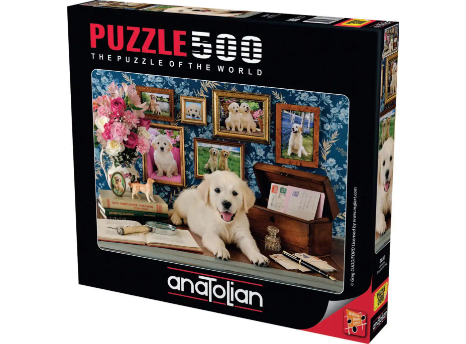 ANATOLIAN Puzzle Labrador 500 dílků