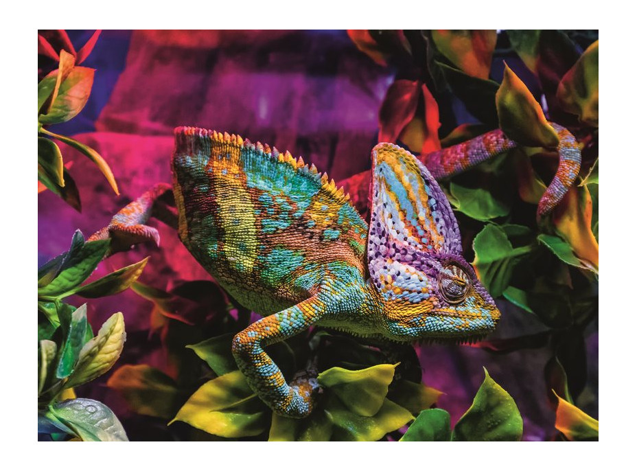 RAVENSBURGER Puzzle Chameleon 500 dílků