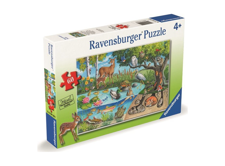 RAVENSBURGER Puzzle Zvířata na zemi i pod ní – tajemství přírody 60 dílků