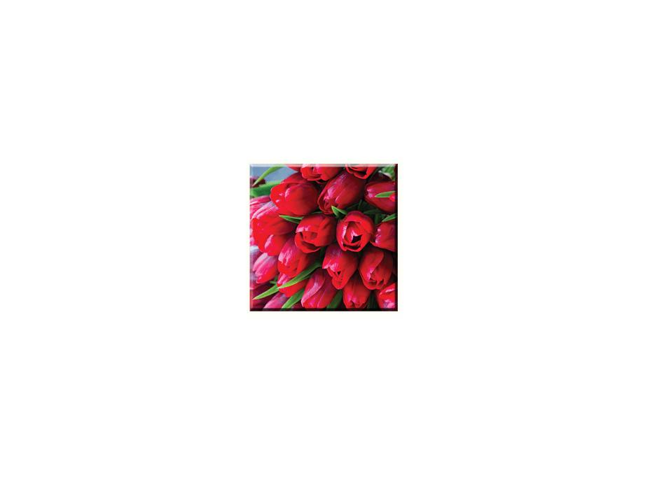 Obraz na plátně 30x30cm RED TUPIL - vzor 35