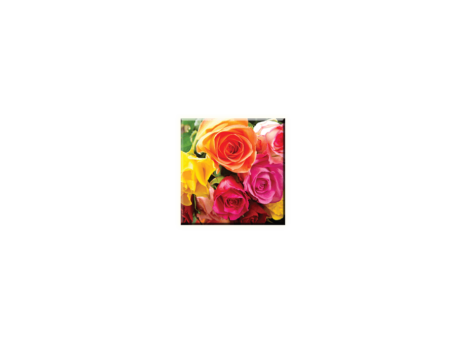 Obraz na plátně 30x30cm FLOWER - vzor 36