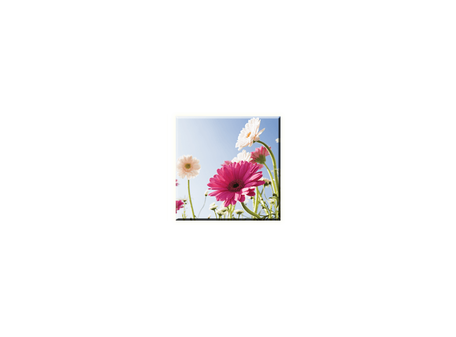 Obraz na plátně 30x30cm SWEET FLOWER - vzor 40