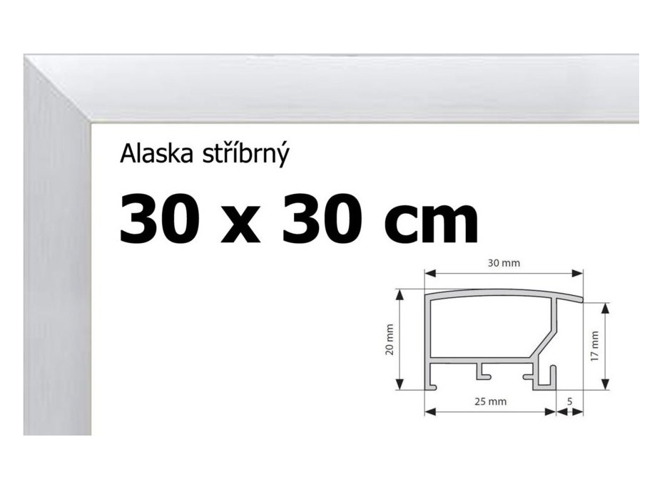 BFHM Alaska hliníkový rám 30x30cm - stříbrný