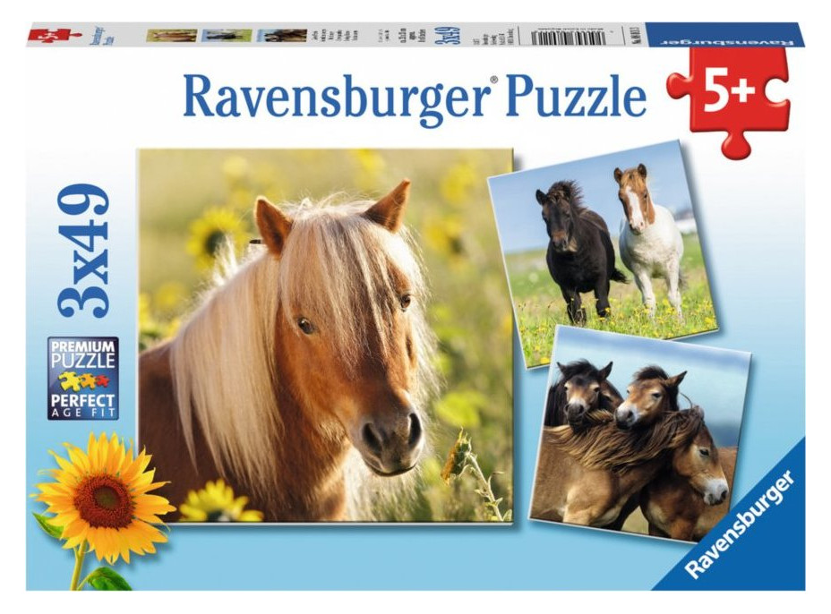 RAVENSBURGER Puzzle Poníci 3x49 dílků