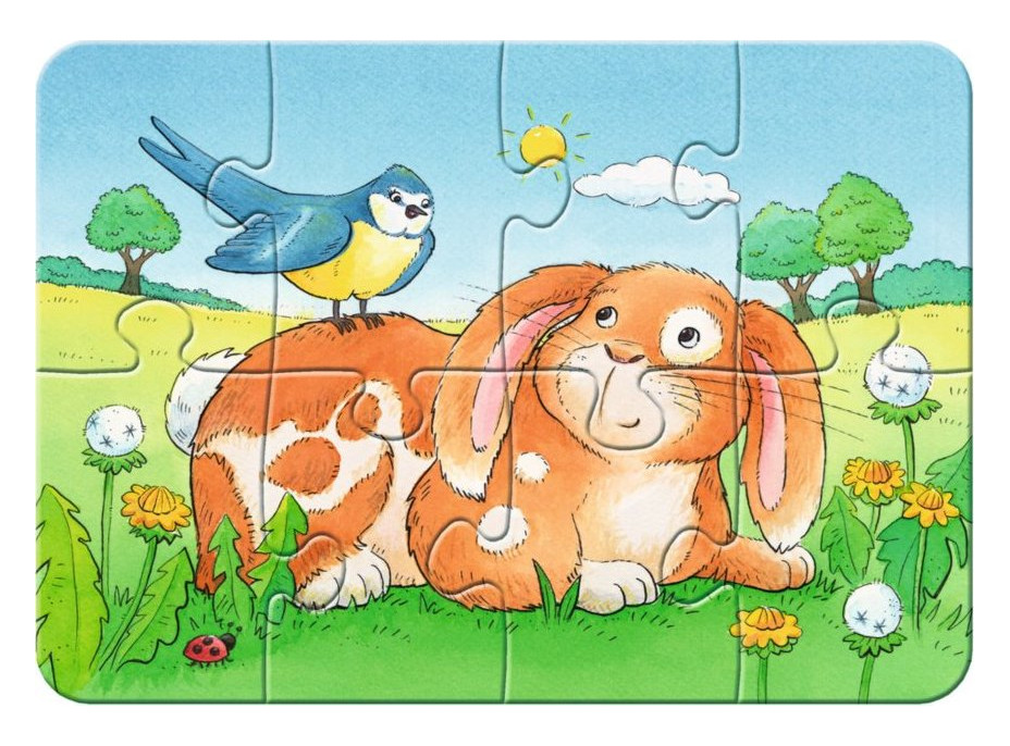 RAVENSBURGER Moje první puzzle Domácí mazlíčci 4v1 (2,4,6,8 dílků)