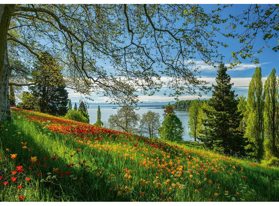 SCHMIDT Puzzle Kvetoucí tulipány na ostrově Mainau 1000 dílků