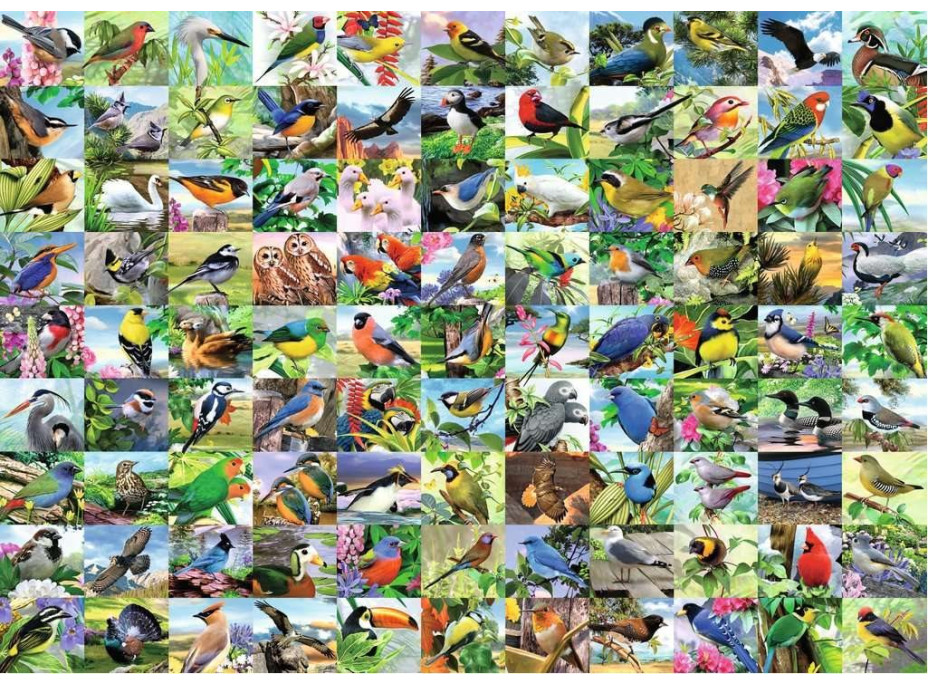 RAVENSBURGER Puzzle 99 úchvatných ptáků EXTRA 300 dílků