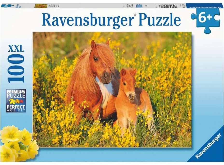 RAVENSBURGER Puzzle Shetlandští poníci XXL 100 dílků