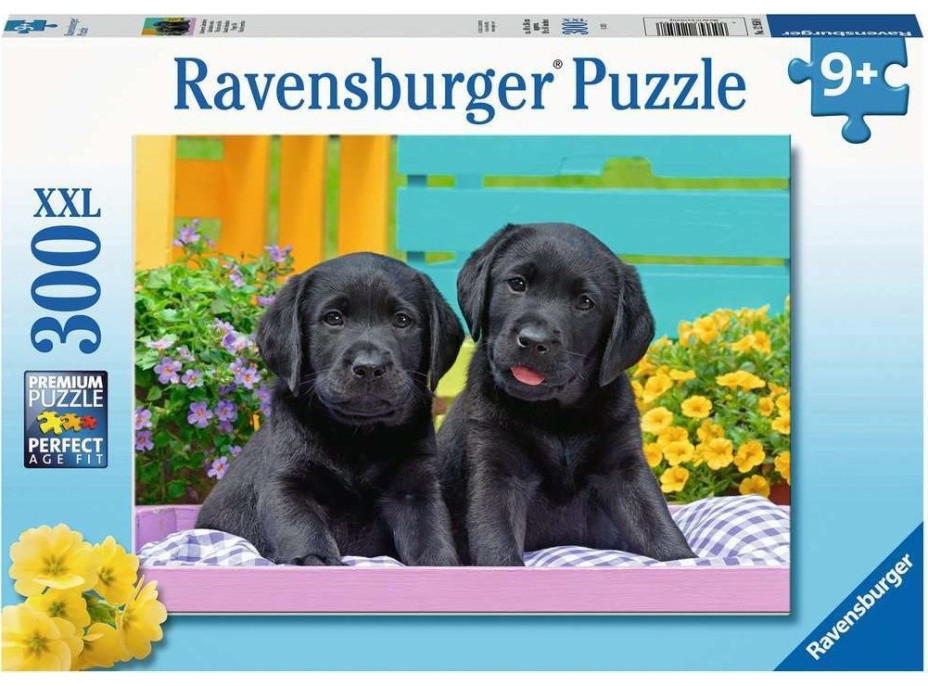 RAVENSBURGER Puzzle Černí labradoři XXL 300 dílků