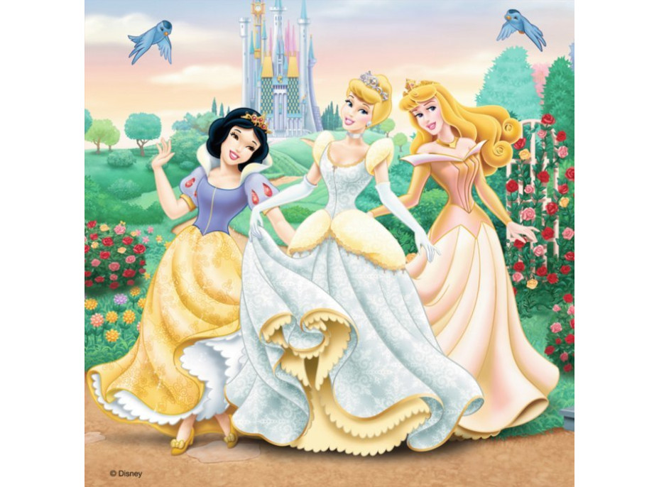 RAVENSBURGER Puzzle Disney princezny: Sny 3x49 dílků