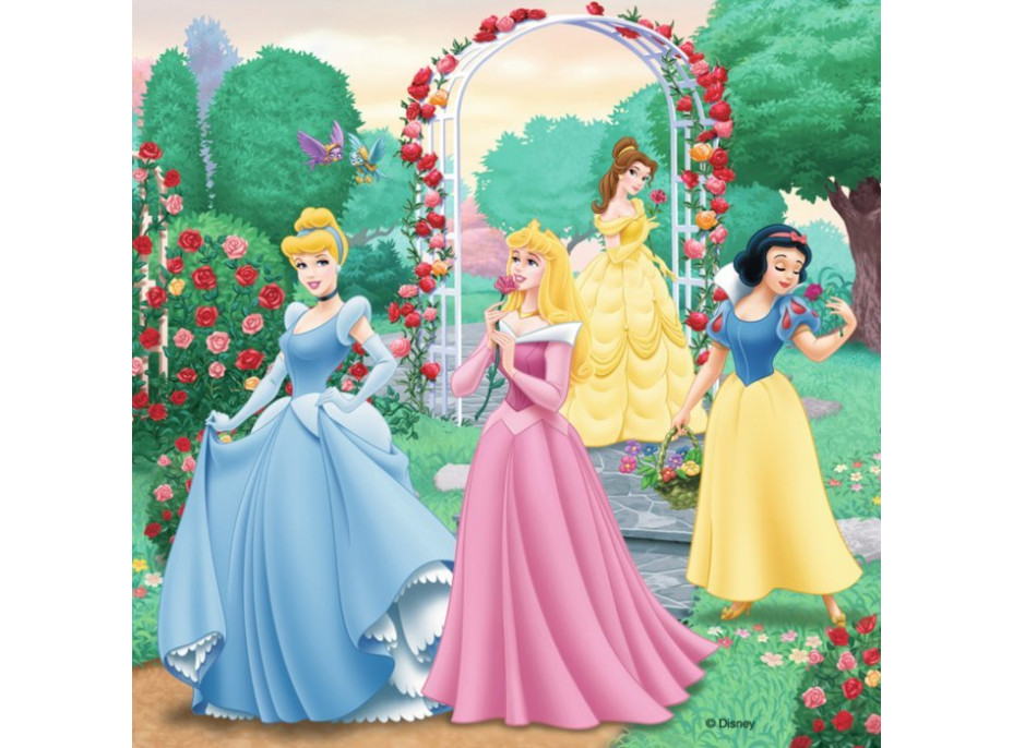 RAVENSBURGER Puzzle Disney princezny: Sny 3x49 dílků