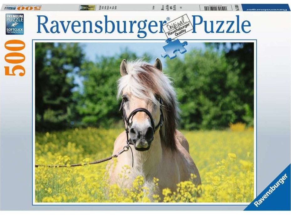 RAVENSBURGER Puzzle Bílý kůň 500 dílků