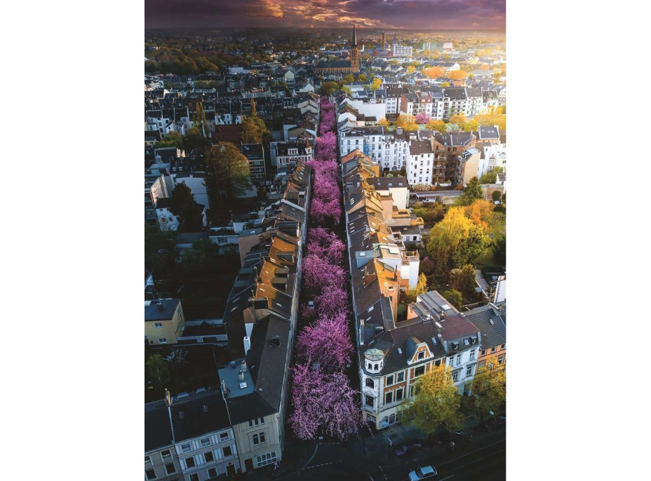 RAVENSBURGER Puzzle Rozkvetlý Bonn 1500 dílků