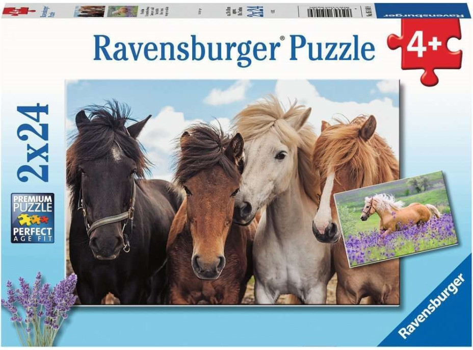 RAVENSBURGER Puzzle Koňská láska 2x24 dílků