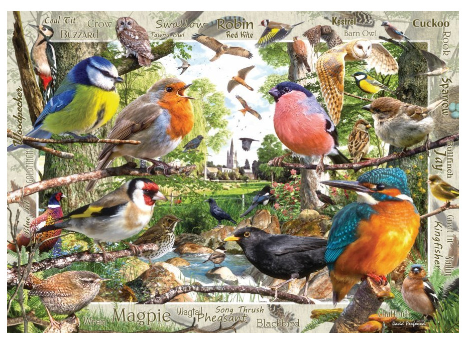 RAVENSBURGER Puzzle Naši opeření přátelé 1000 dílků